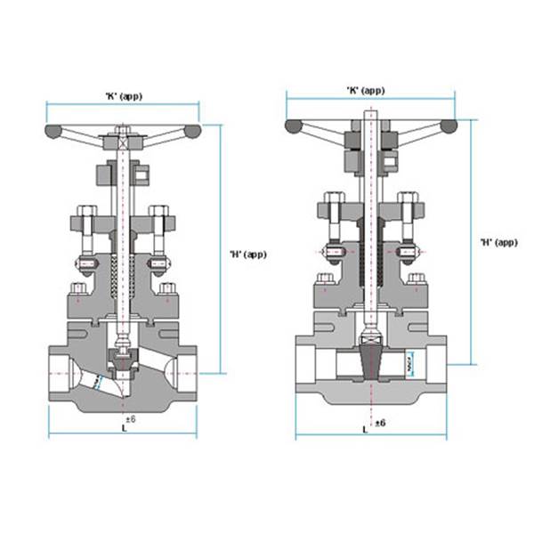 قیمت gate valve class 800